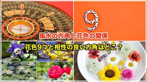 風水 西南|風水の方角8つと相性が良い花色9つ 【金運アップは。